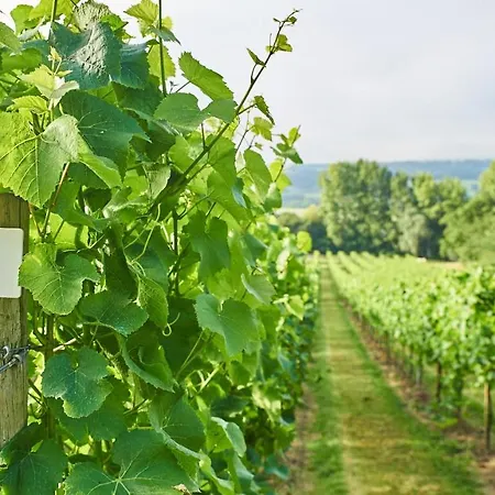 Agroturismo Aldwick Estate *