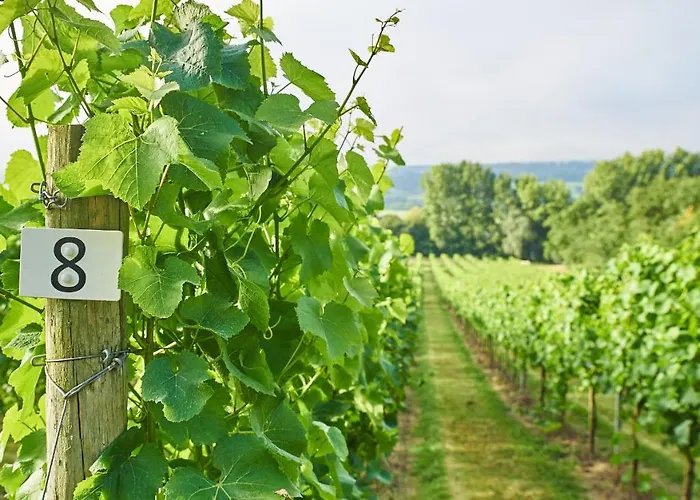 Farm stay Aldwick Estate *